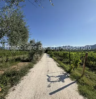 Foto annuncio 4