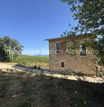 Foto annuncio 14