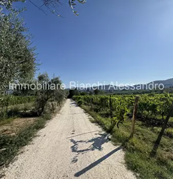 Foto annuncio 2