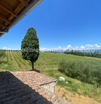 Foto annuncio 15