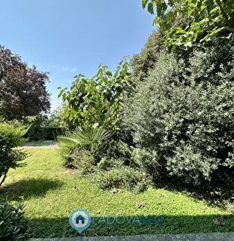 Foto annuncio 16