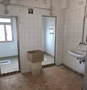 Foto annuncio 7