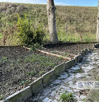 Foto annuncio 40