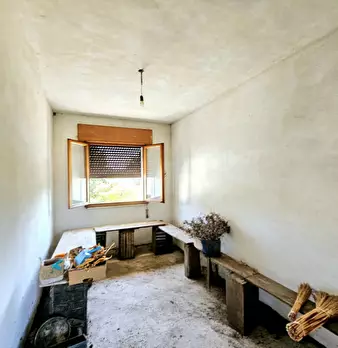 Foto annuncio 16