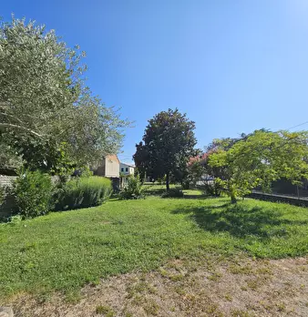 Foto annuncio 19