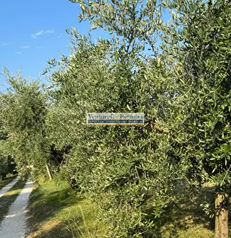 Foto annuncio 4