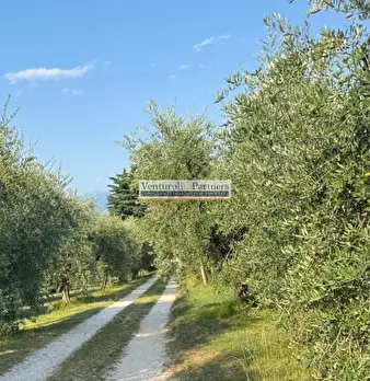 Foto annuncio 5