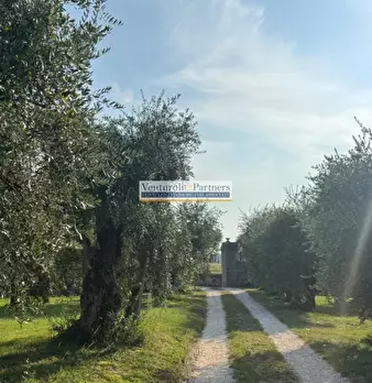 Foto annuncio 6