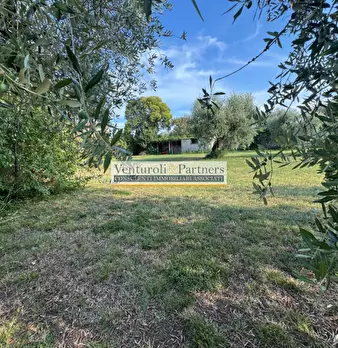 Foto annuncio 12