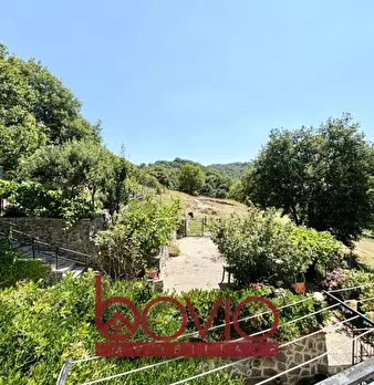 Foto annuncio 38