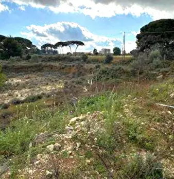 Foto annuncio 3