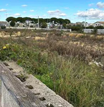 Foto annuncio 4