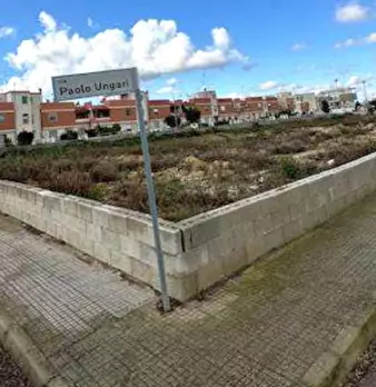 Foto annuncio 5