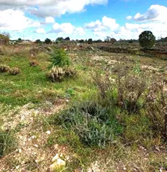 Foto annuncio 3