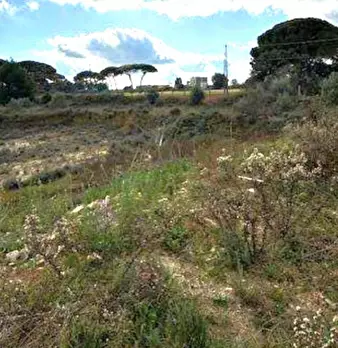 Foto annuncio 4