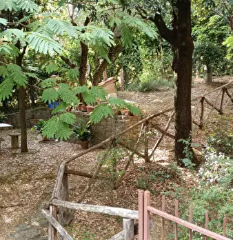 Foto annuncio 5