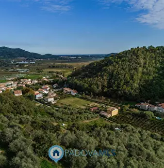 Foto annuncio 1