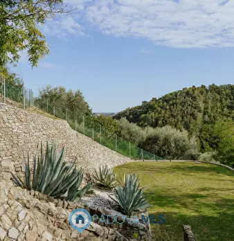 Foto annuncio 31