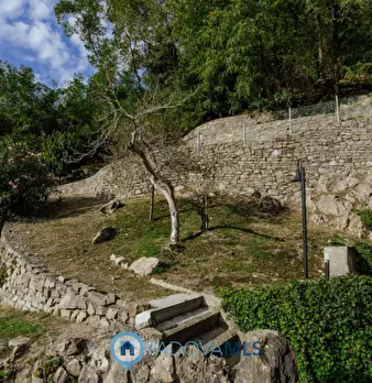 Foto annuncio 53