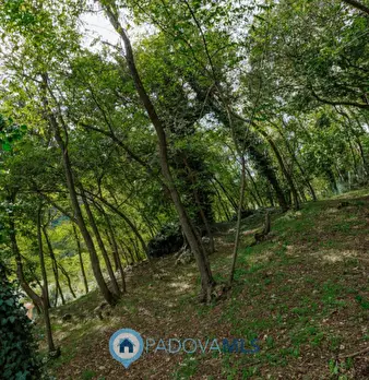 Foto annuncio 62