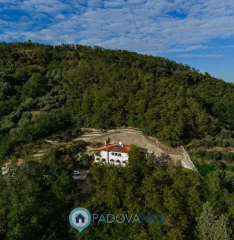 Foto annuncio 72