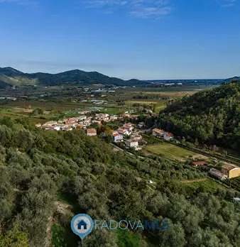Foto annuncio 2