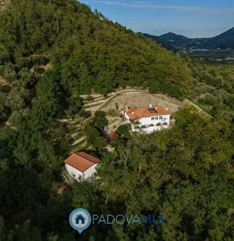 Foto annuncio 10