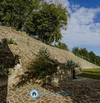 Foto annuncio 55