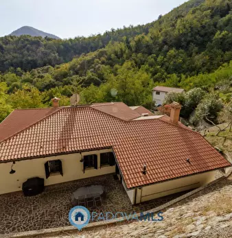 Foto annuncio 64