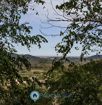Foto annuncio 66