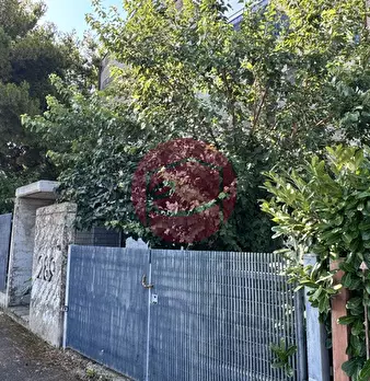 Foto annuncio 4