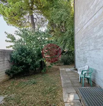 Foto annuncio 8