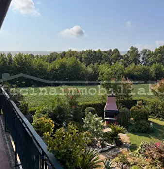 Foto annuncio 5