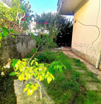 Foto annuncio 13
