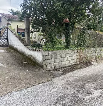 Foto annuncio 8