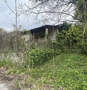 Foto annuncio 9