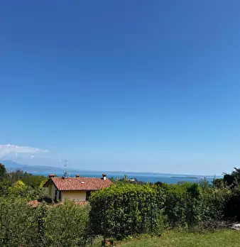 Foto annuncio 22
