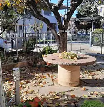Foto annuncio 10