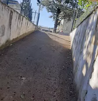 Foto annuncio 11