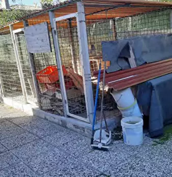 Foto annuncio 19