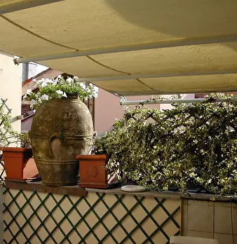 Foto annuncio 13