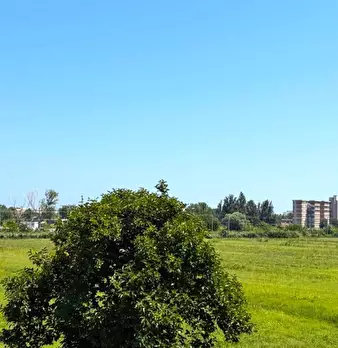 Foto annuncio 16