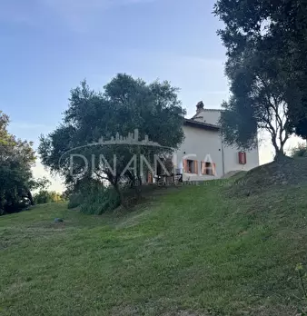 Foto annuncio 17