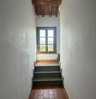 Foto annuncio 36