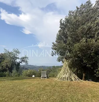 Foto annuncio 44