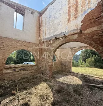 Foto annuncio 47