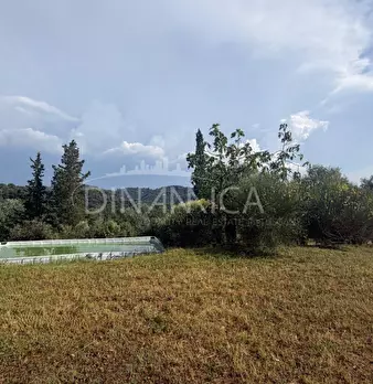 Foto annuncio 52