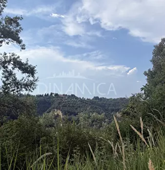 Foto annuncio 53