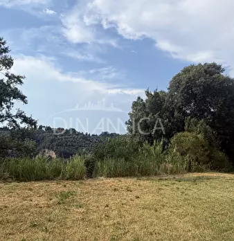 Foto annuncio 54