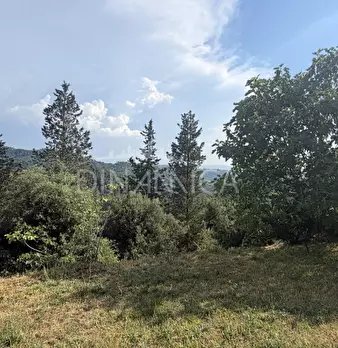 Foto annuncio 55